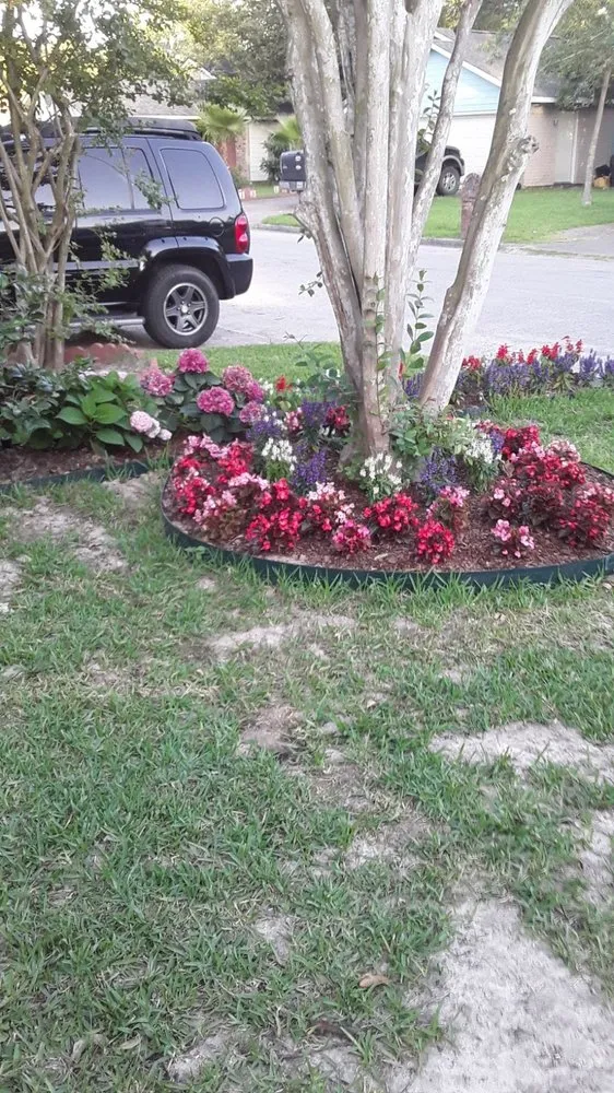 Local landscape design for outdoor upgrades in Houston, TX by Carlos Landscaping Service