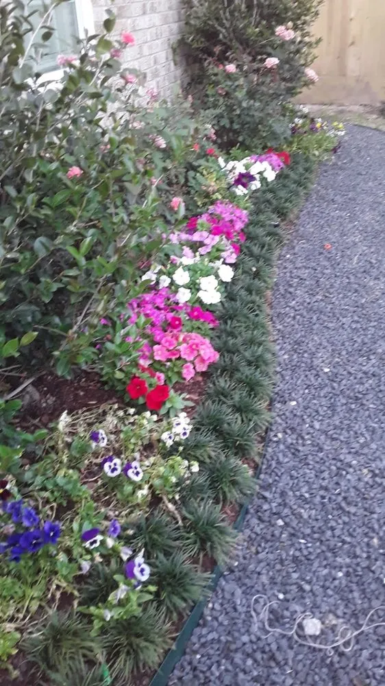 Professional lawn mowing service experts serving Houston, TX - Carlos Landscaping Service