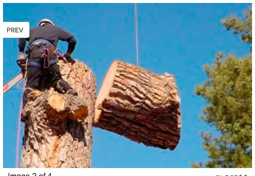 Reliable outdoor landscaping for year-round maintenance across Houston, TX - Carlos Landscaping Service