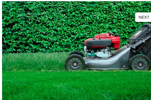 Top-rated garden landscaping experts serving Houston, TX - Carlos Landscaping Service