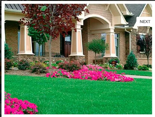 Top-rated landscape design in Houston, TX by Carlos Landscaping Service