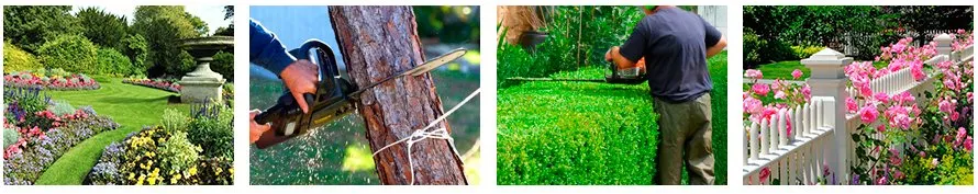 Top-rated landscaping services in Houston, TX by Carlos Landscaping Service