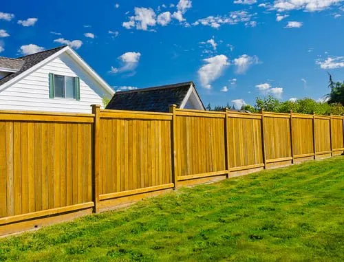 Professional landscape design experts serving Houston, TX - Carlos Landscaping Service