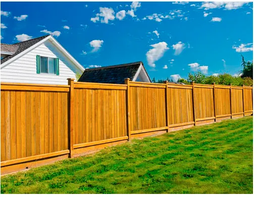 Professional yard maintenance in Houston, TX by Carlos Landscaping Service