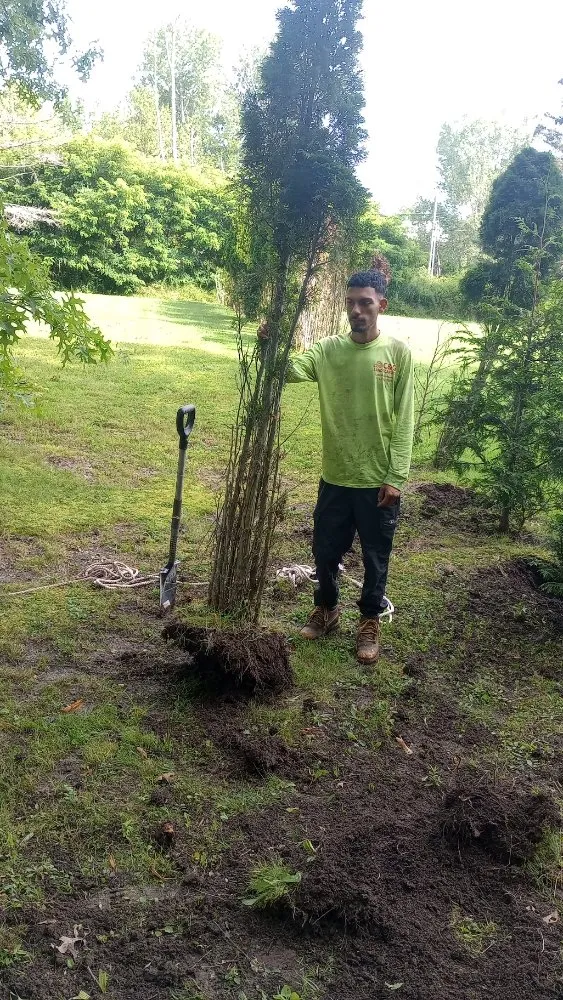 Trusted garden landscaping for beautiful yards in Erie, PA by Carlos Landscaping Snow Removal