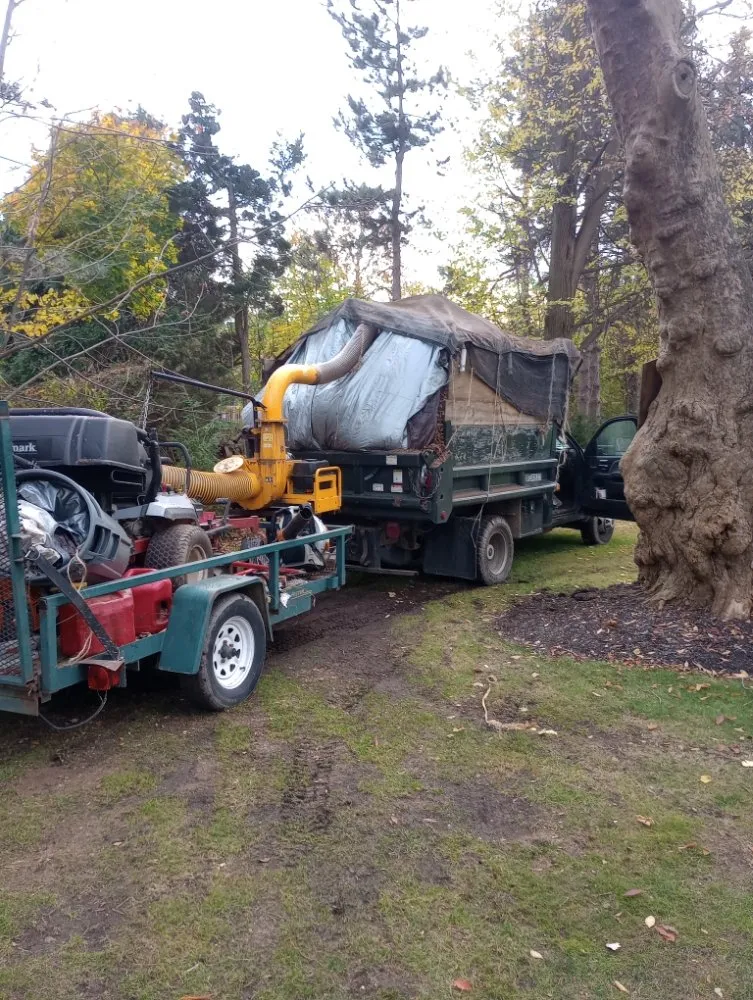 Top-rated yard maintenance experts serving Erie, PA - Carlos Landscaping Snow Removal