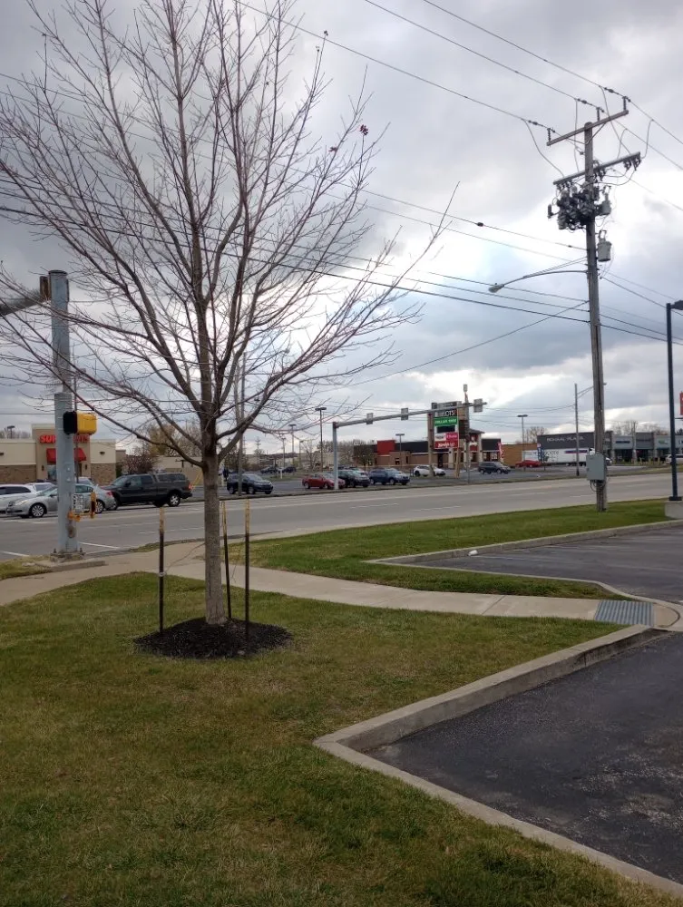 Trusted landscaping services experts serving Erie, PA - Carlos Landscaping Snow Removal