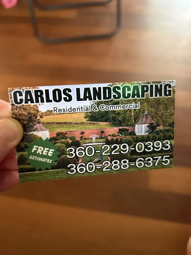 Top-rated yard cleanup service in University Place, WA - Carlos Landscaping