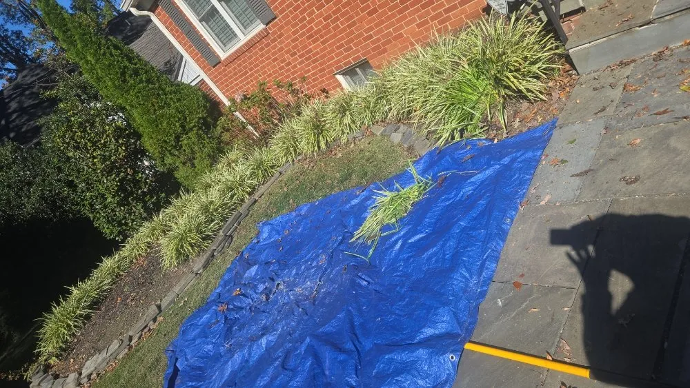 Top-rated yard maintenance in Montgomery Village, MD - Carlos Lanscaping Services