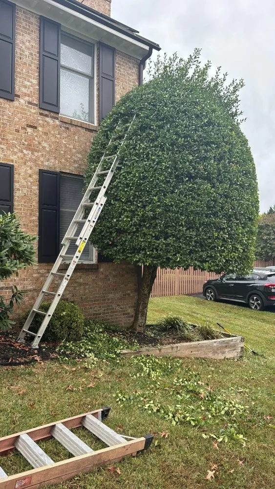 Affordable landscaping services for residential properties in Montgomery Village, MD by Carlos Lanscaping Services