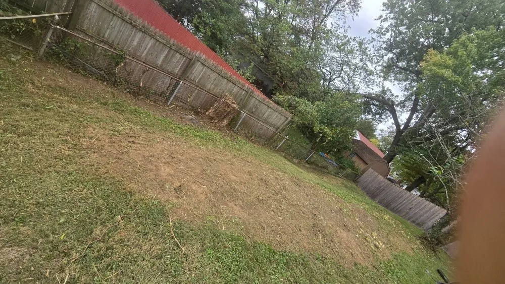 Local yard cleanup service for outdoor upgrades across Montgomery Village, MD - Carlos Lanscaping Services