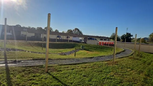 Carlos Lanscaping Services Logo