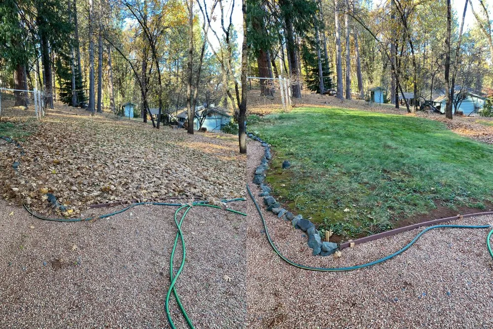 Top-rated yard maintenance for residential properties across Palermo, CA - Carlos Lawn and Garden Care