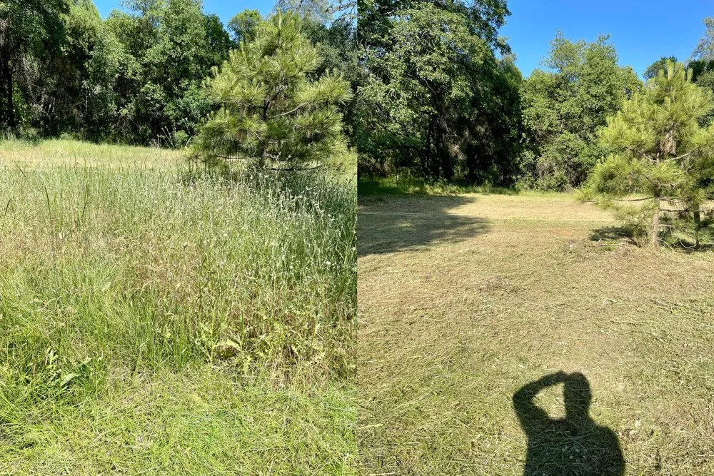 Affordable landscape installation for year-round maintenance in Palermo, CA by Carlos Lawn and Garden Care