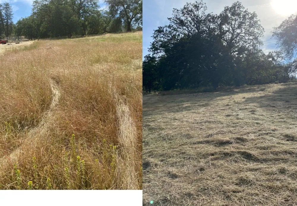 Professional yard cleanup service in Palermo, CA by Carlos Lawn and Garden Care