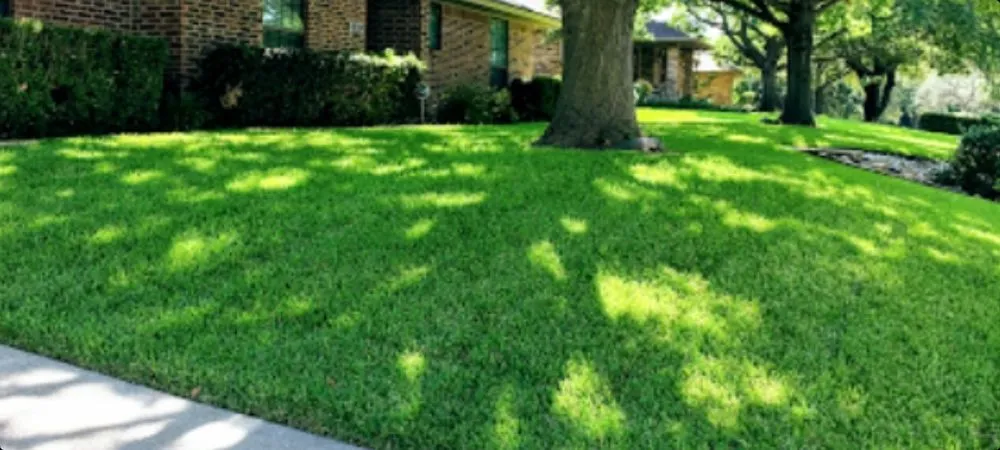 Affordable outdoor landscaping for homes across Grand Rapids, MI - Carlos Lawn Care