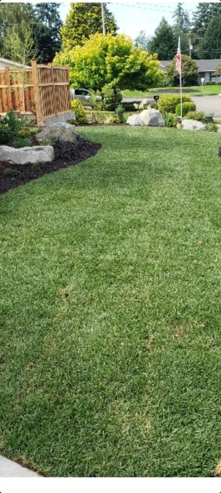 Professional yard maintenance experts serving Grand Rapids, MI - Carlos Lawn Care