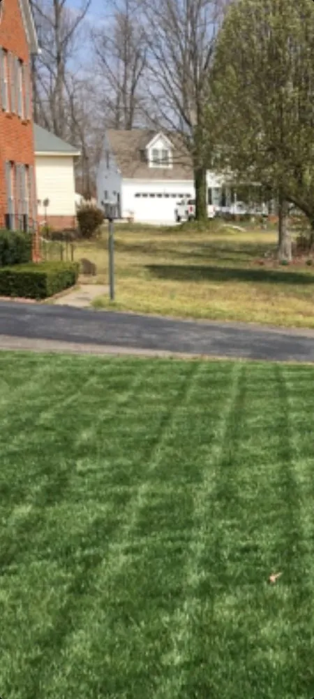 Top-rated residential landscaping for homes in Grand Rapids, MI by Carlos Lawn Care