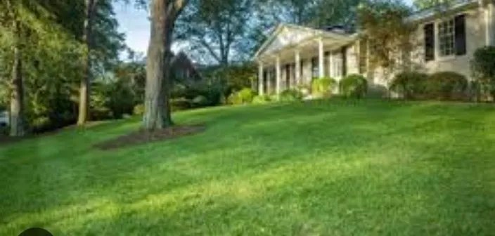 Local landscape design for homes across Grand Rapids, MI - Carlos Lawn Care