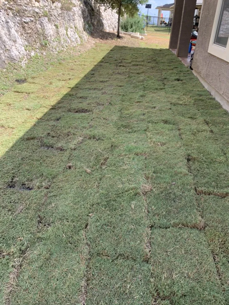 Custom lawn care service in San Antonio, TX - Carlos Lawn Care