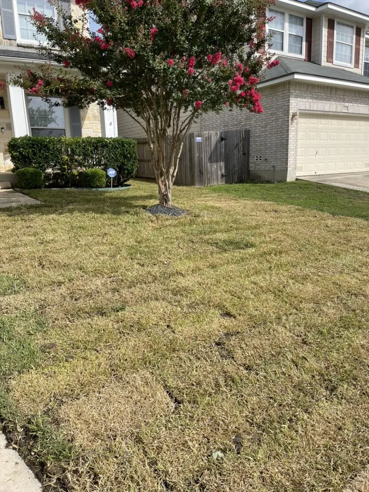 Trusted landscape design experts serving San Antonio, TX - Carlos Lawn Care