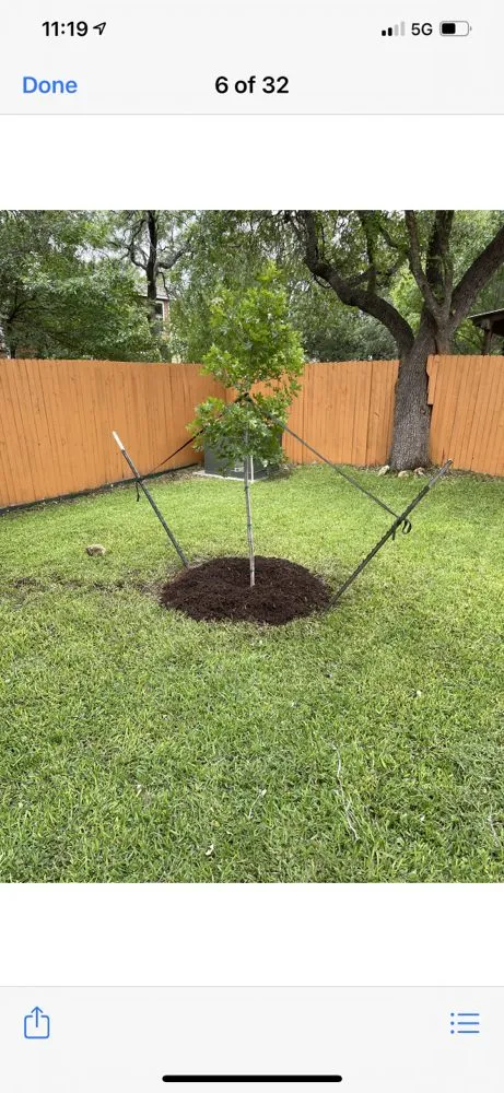 Expert lawn care service for year-round maintenance in San Antonio, TX by Carlos Lawn Care