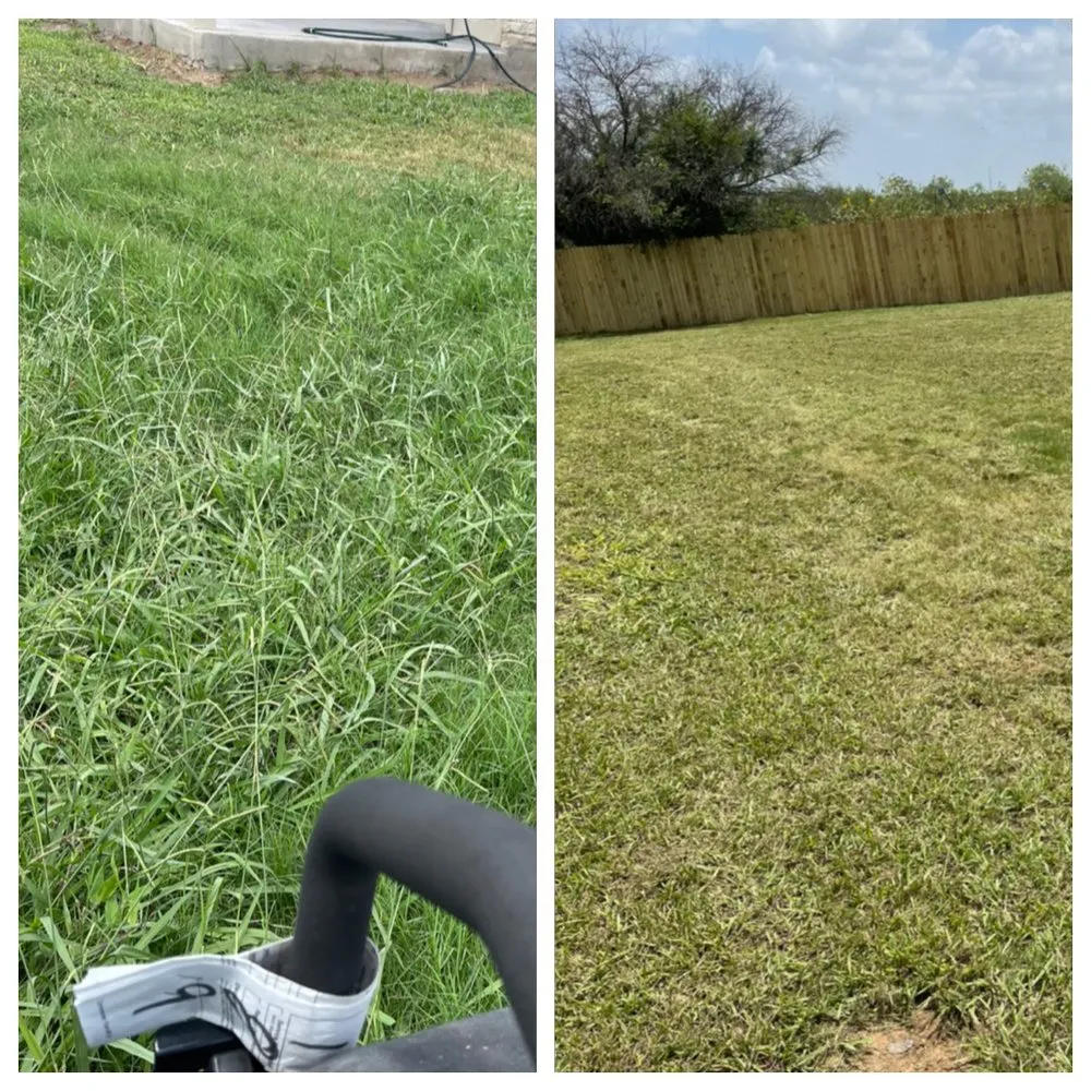 Trusted landscaping services for beautiful yards across San Antonio, TX - Carlos Lawn Care