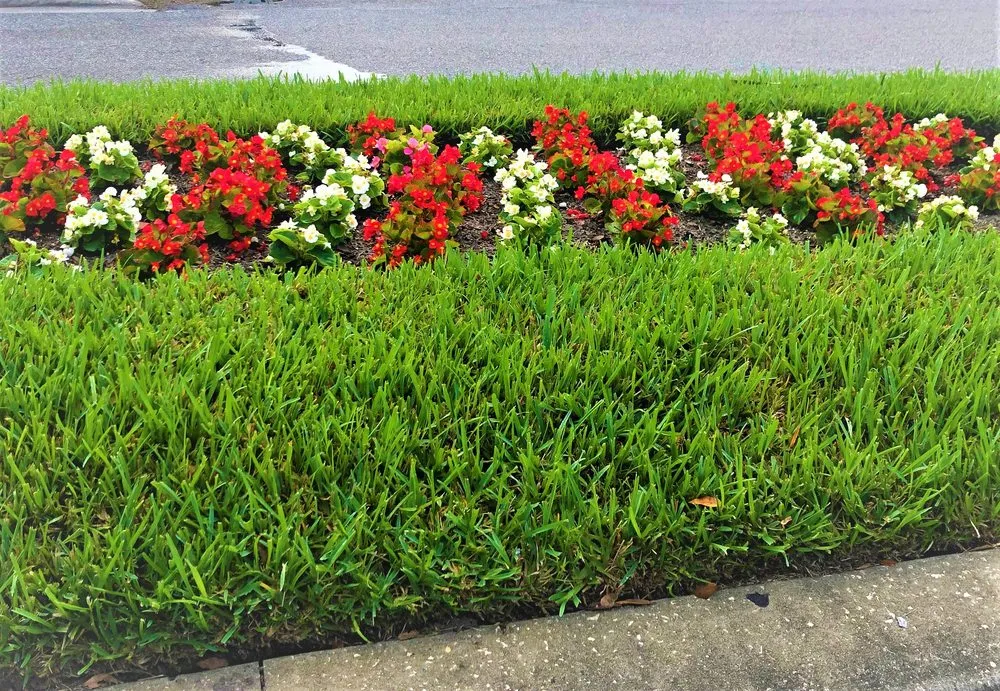 Expert yard cleanup service for homes across Orlando, FL - Carlos Lawn Care Services