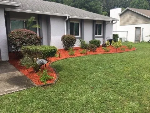 Professional yard maintenance for year-round maintenance across Orlando, FL - Carlos Lawn Care Services