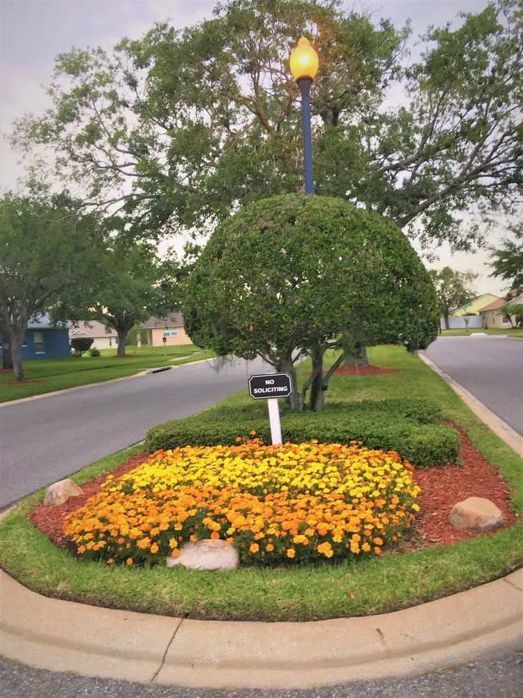 Expert landscape design experts serving Orlando, FL - Carlos Lawn Care Services