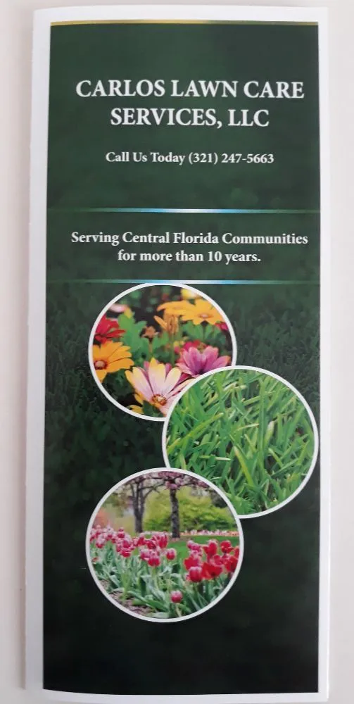 Local yard cleanup service for beautiful yards in Orlando, FL by Carlos Lawn Care Services