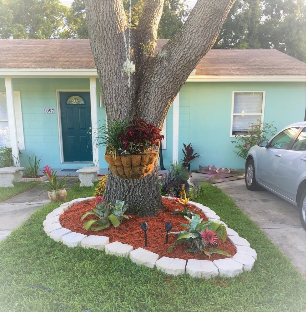 Affordable yard cleanup service experts serving Orlando, FL - Carlos Lawn Care Services