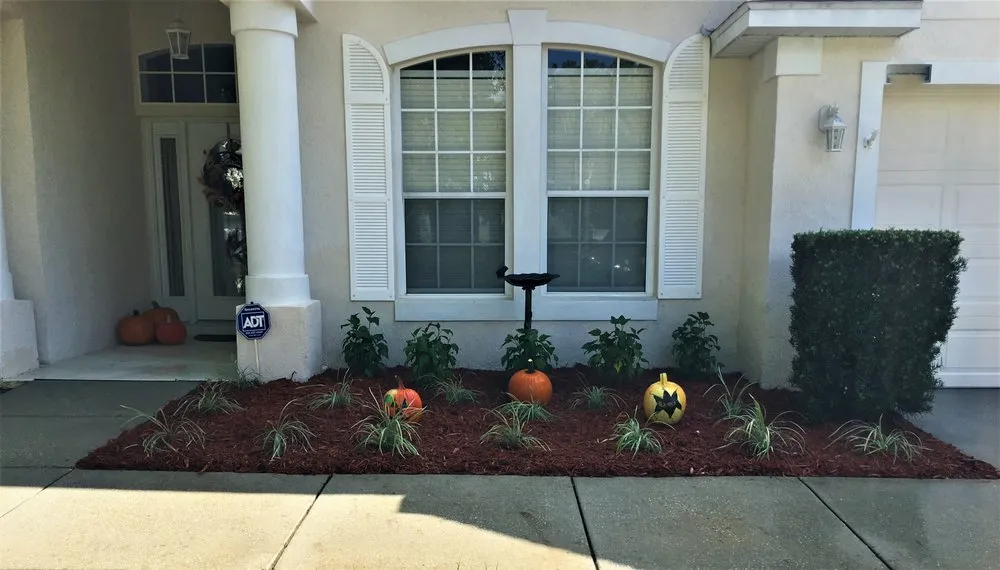 Custom lawn care service experts serving Orlando, FL - Carlos Lawn Care Services