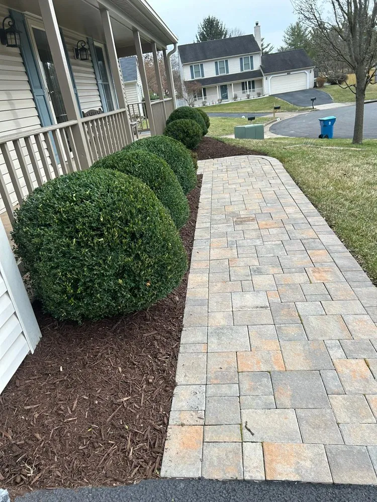 Expert lawn mowing service for beautiful yards across Sterling, VA - Carlos Lawn Care