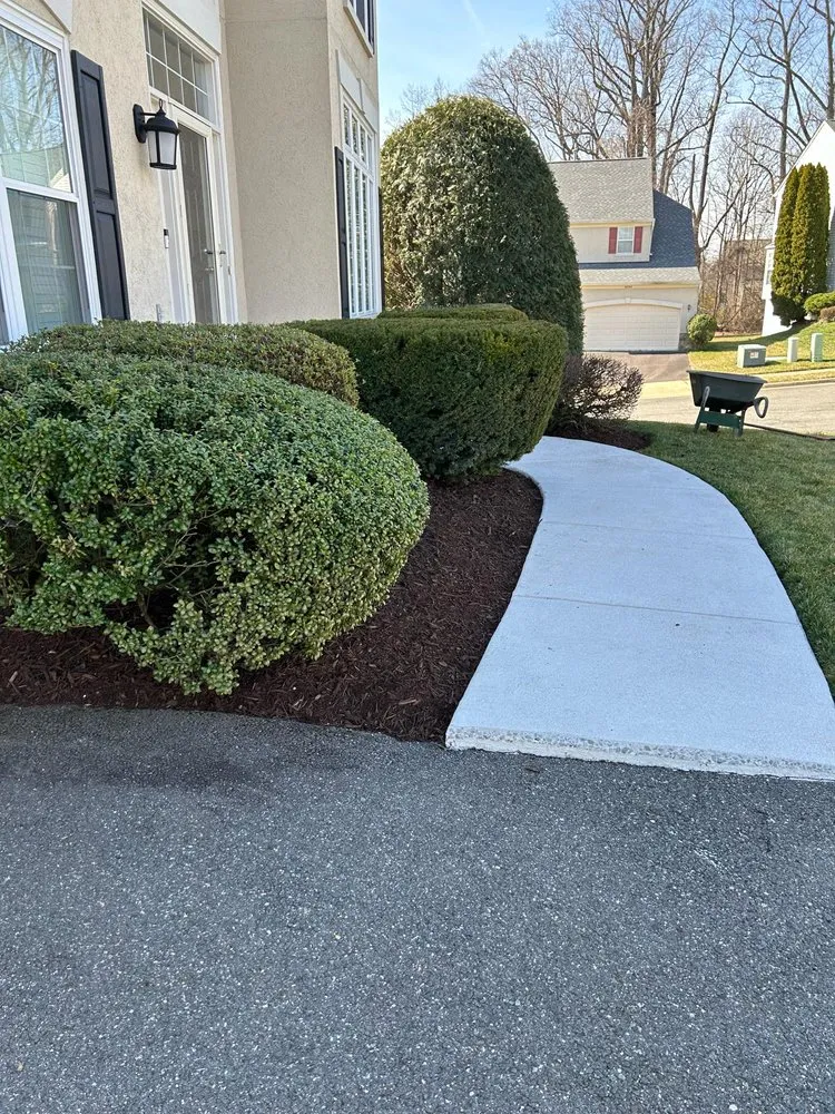 Top-rated yard cleanup service in Sterling, VA by Carlos Lawn Care