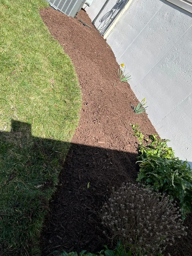 Reliable yard cleanup service for outdoor upgrades in Sterling, VA by Carlos Lawn Care