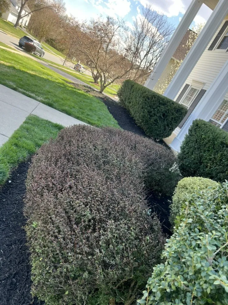 Professional garden landscaping in Sterling, VA - Carlos Lawn Care