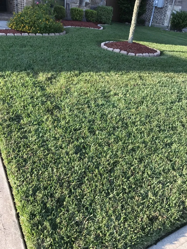 Custom lawn care service in Kemah, TX - Carlos Lawn Services