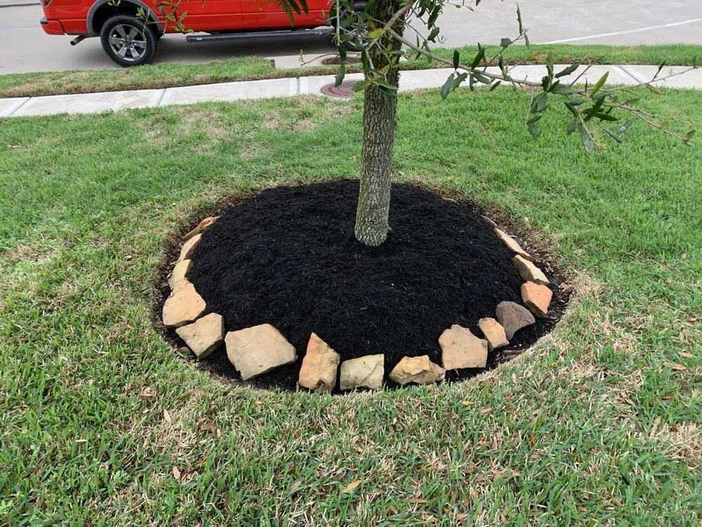 Custom lawn care service in Kemah, TX - Carlos Lawn Services