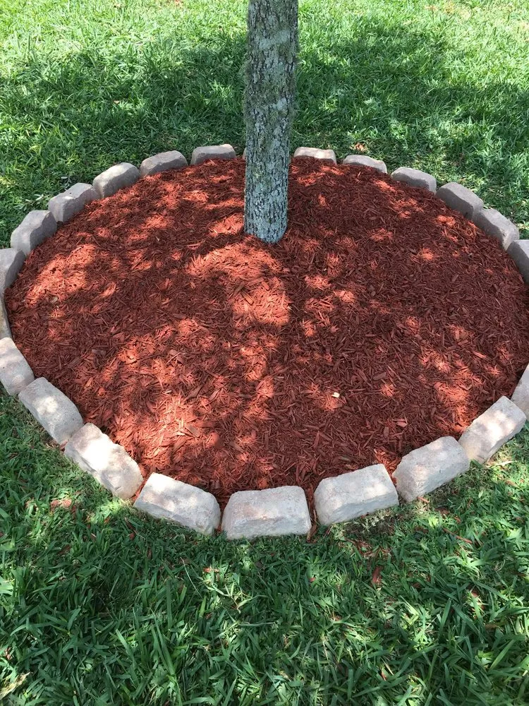 Custom lawn mowing service in Kemah, TX by Carlos Lawn Services