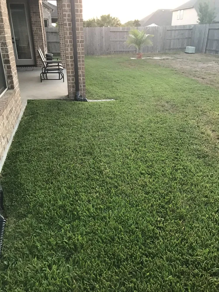 Local lawn mowing service for year-round maintenance in Kemah, TX by Carlos Lawn Services