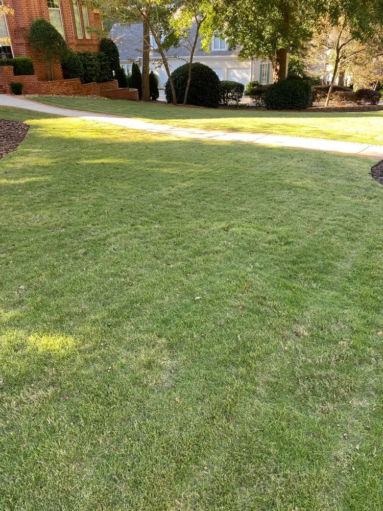 Expert outdoor landscaping for beautiful yards in LaGrange, GA by Carlos Lawncare