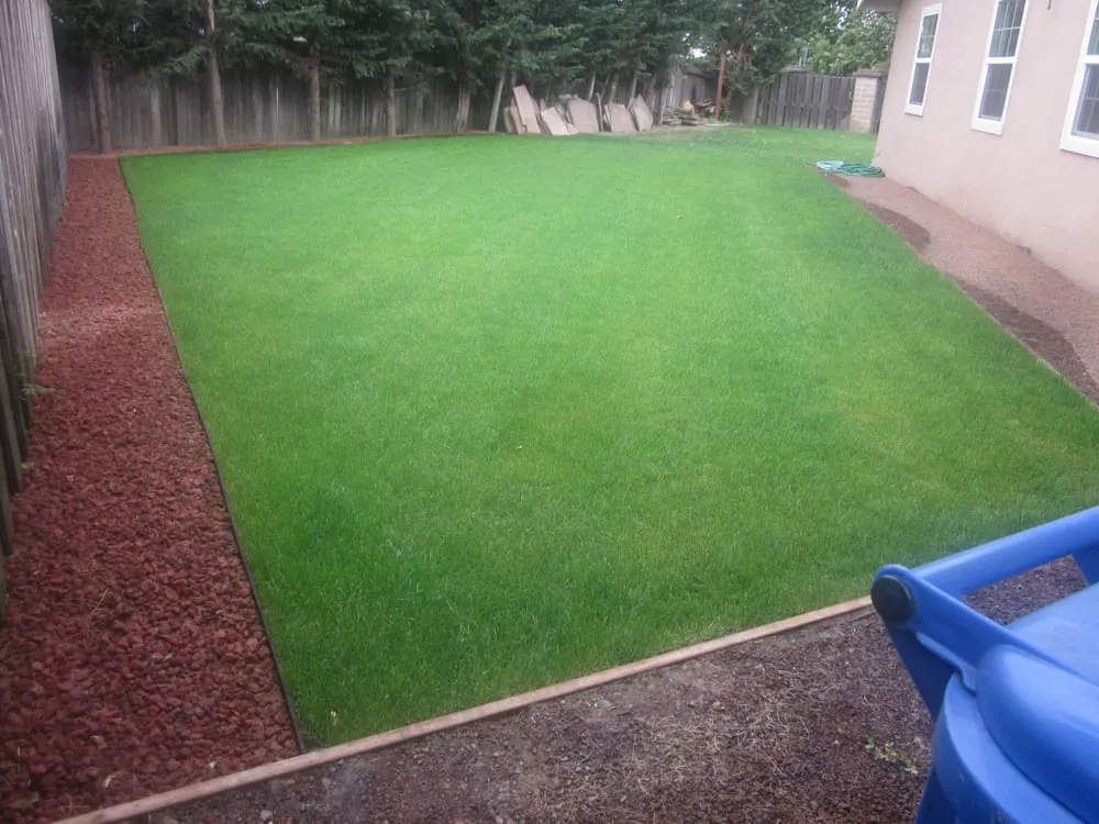 Affordable landscape installation for homes across Mill Valley, CA - Carlos Paz Landscaping