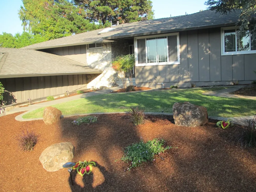 Top-rated landscaping services experts serving Mill Valley, CA - Carlos Paz Landscaping