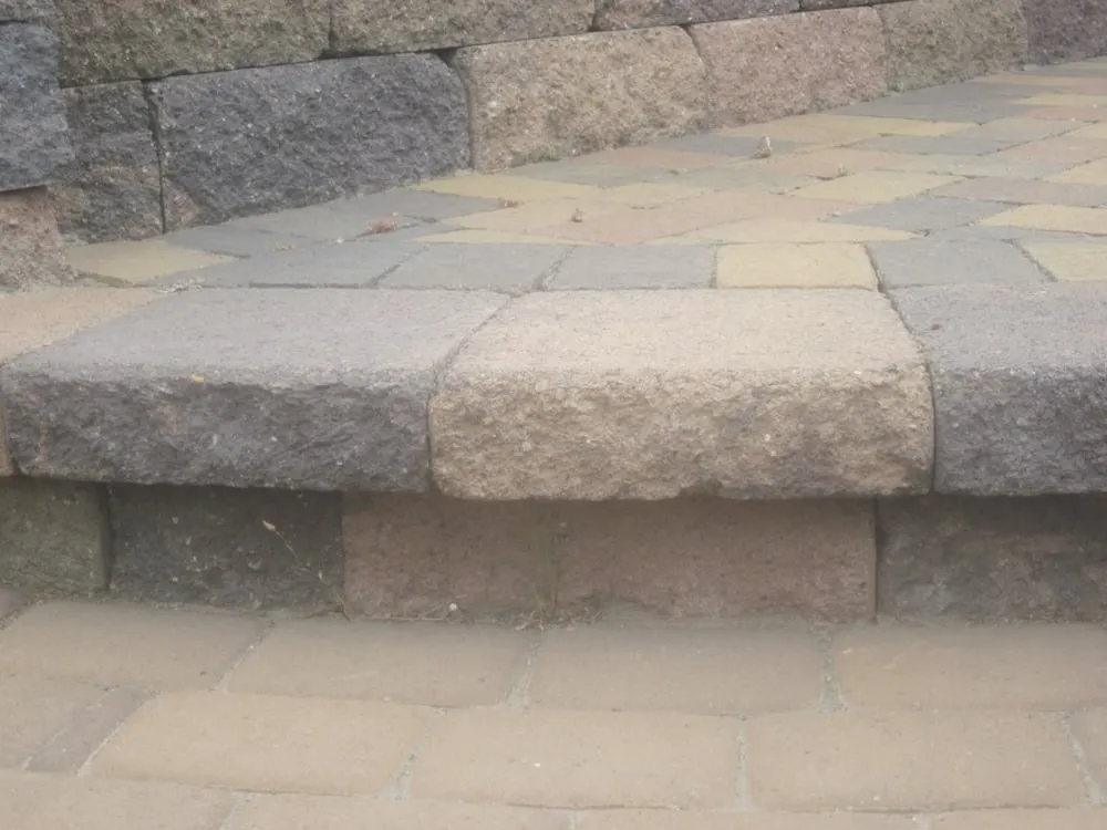 Reliable yard maintenance in Mill Valley, CA by Carlos Paz Landscaping