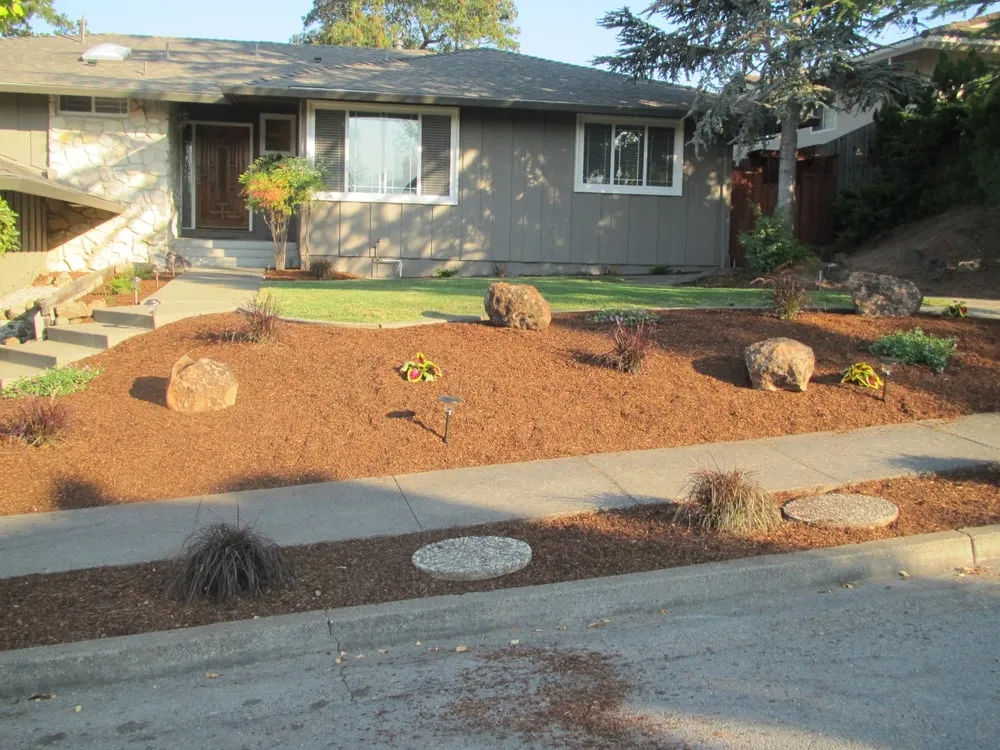 Trusted lawn mowing service in Mill Valley, CA by Carlos Paz Landscaping
