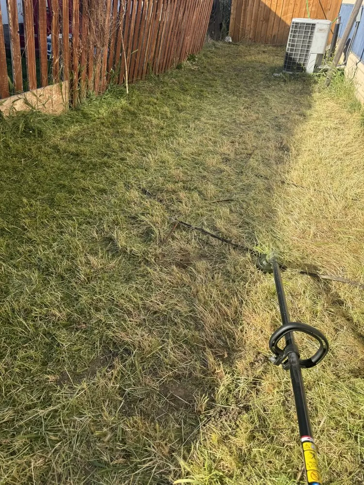 Trusted residential landscaping in Yakima, WA - Carlos Reforestation