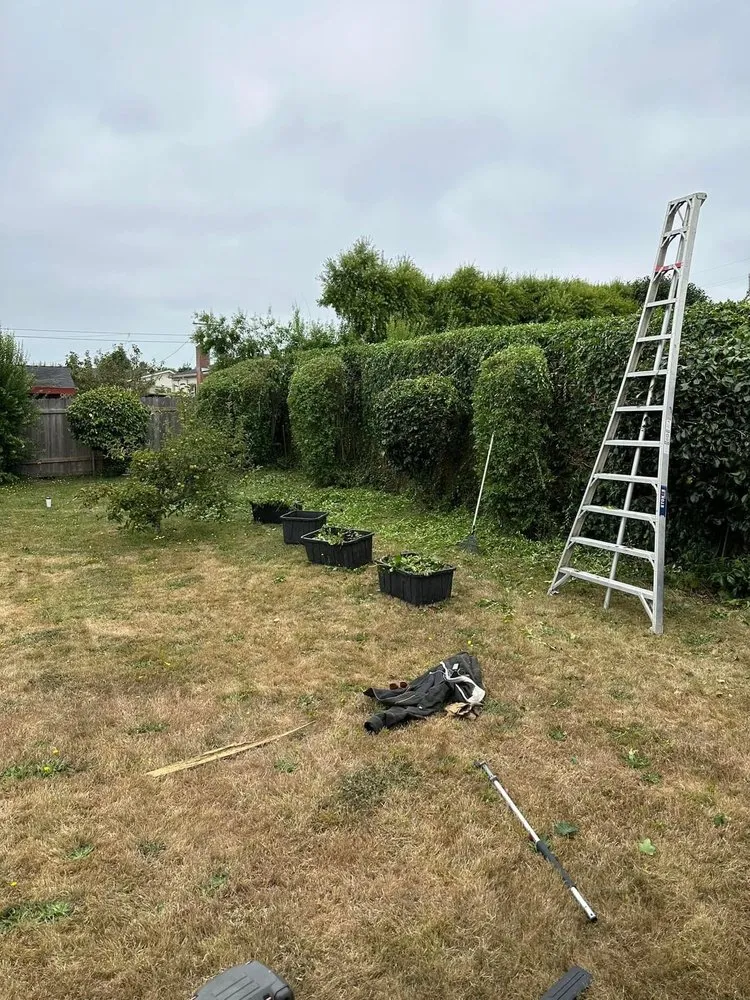 Expert landscape installation experts serving Yakima, WA - Carlos Reforestation