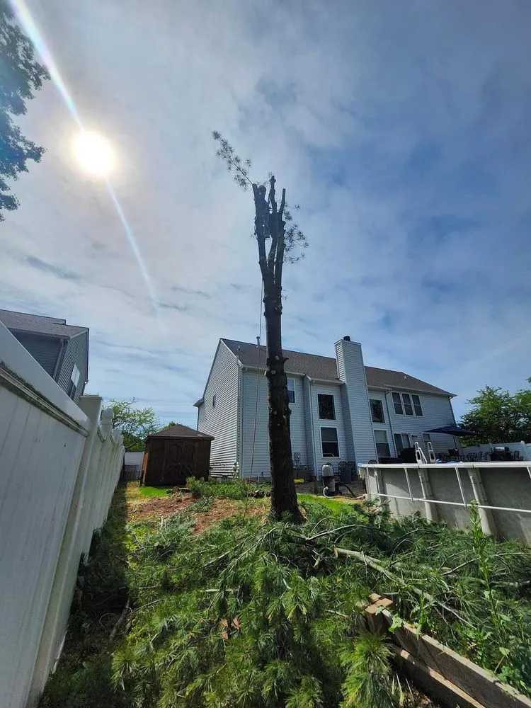 Trusted outdoor landscaping for year-round maintenance in Yakima, WA by Carlos Reforestation