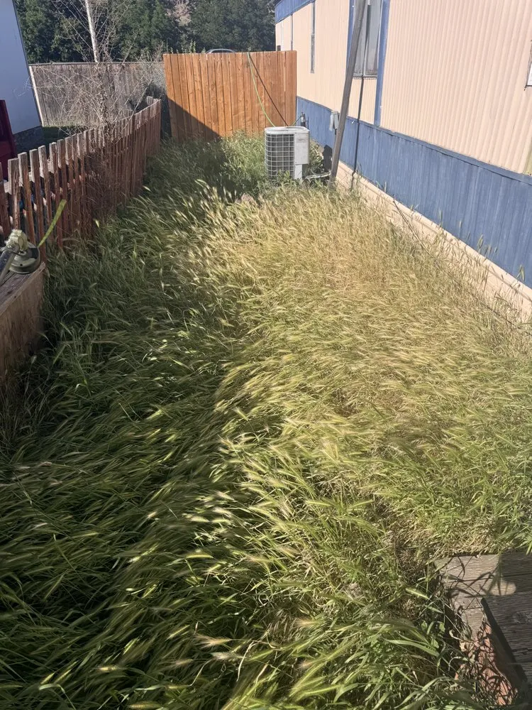 Custom landscape installation with custom design across Yakima, WA - Carlos Reforestation